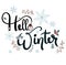 Hello Winter text decorative with snowflakes and leaves. Decoration for cards, poster, banners and more.