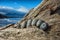 \'hello\' written in stones laying on driftwood