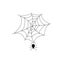 Hellowen spiderweb spiders