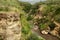 Hells Gate NP in Kenya, Africa