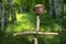 Helmet on the birch cross. The grave of an unknown German soldier in the forest. Imitation. WW2 recovery.