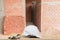 Helmet plastic white and glove leather equipment construction on Wooden floor. brick wall background