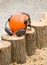 Helmet on wooden logs