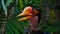 The helmeted hornbill is a very large bird in the hornbill family. It is found on the Malay Peninsula, Sumatra and Borneo. The cas