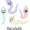 Helminths, roundworms. intestinal parasites. warning sign parasitism , vector illustration. The concept of parasites in humans and