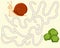 Help the funny snail find the pathway to cabbage. Logic Game for kids. Entry and exit. Labyrinth with solution. Educational maze