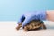 help and treatment of rickets in turtles