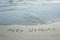 Help Ukraine handwritten text in sand on a beach with waves in an exotic island for compassion, generosity