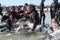 Helping beached Pilot Whales in Kommetjie