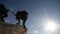 helping hand. help business travel silhouette concept. group team of tourists lends helping hand a climb the cliffs