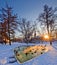 Helsinki park with pond