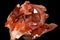 Hematoid Quartz Crystals - Ferruginous Quartz with Hematite