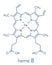 Heme B haem B molecule. Heme is an essential component of hemoglobin, myoglobin, cytochrome, catalase and other metalloproteins.