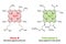 Heme and chlorophyll, similarities in their chemical structureHeme and chlorophyll similarities in chemical structure