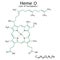 Heme O chemical formula. Part of hemoglobin. Molecular structure. Organic compound. Vector illustration. Stock image.