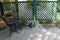 Hemmingway cat in the patio