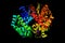 Hemoglobin, the iron-containing oxygen-transport metalloprotein