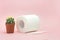 Hemorrhoid, constipation treatment health problems. Toilet paper an a cactus on the pink background. Hemorrhoid problems.