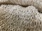 Hemp fibers woven into a piece, lightbrown natural fiber bundle texture and background