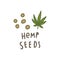 Hemp seeds superfood.