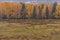 Hemu village in colorful autumn in morning golden light, Xinjiang, China