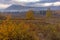 Hemu village in colorful autumn in morning golden light, Xinjiang, China