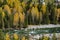 Hemu village in colorful autumn in morning golden light, Xinjiang, China