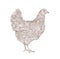 Hen or chicken hand drawn with contour lines on white background. Elegant monochrome drawing of domestic farm poultry