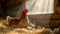 Hen and chicks basking in warm sunlight in a rustic barn. idyllic farm scene, symbolizing motherhood. cozy, peaceful