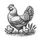 Hen and Chicks Vintage Farm engraving raster