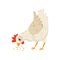 Hen eating seeds. Domestic fowl with bright red scallop and orange feet. Flat vector icon of farm bird. Poultry farming