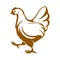 Hen icon, chicken and poultry production industry