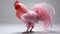 Hen in the laboratory. Bird\\\'s pink feathers. Biotechnology and selection