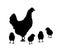 Hen with little chicks silhouette vector