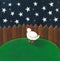 Hen looking at the night sky