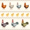 Hen, rooster and chicken flat vector illustration. Seamless pattern