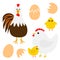 Hen Rooster cock Chicken broken cracked egg bird icon set. Happy Easter. Cute cartoon funny kawaii baby chick character. Flat