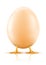 Hen\'s egg with chicken baby inside