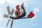 Hen-shaped weather vane over the top of a pointy-roofed house ag