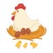 Hen sitting eggs and chicken hatch on nest farm fowl vector icon