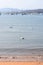 Hendaye France white swans on the beach on a summer day