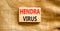 Hendra virus symbol. Concept words Hendra virus on wooden block. Beautiful canvas table canvas background. Medical hendra virus