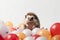 Hengehog on a white background surrounded by multicolor balloons and confetti. Festive concept