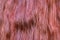 Henna shiny red ginger slightly wavy hair background. Healthy long female curls.