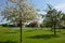 HENRI-CHAPELLE, BELGIUM - MAY 2016. Spring at the Military Cemetery.