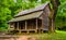 The Henry Whitehead Cabin, at Cade\'s Cove, Great Smoky Mountains