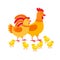 Hens family cute cartoon characters. Hen, rooster and chickens isolated on white background. Happy chicks vector