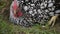 Hens feed on the traditional rural barnyard. Close up of chicken standing on barn yard with the chicken coop. Free range poultry