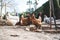 Hens pecking at the soil of an ecological farm to lay boar eggs