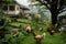 hens roaming freely in a lush green backyard